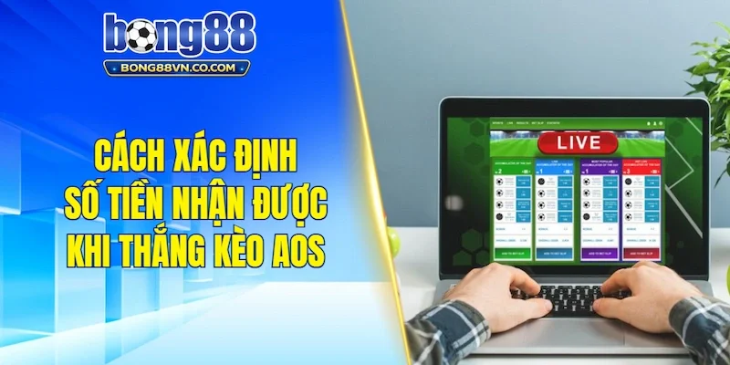 Cách xác định số tiền nhận được khi thắng kèo Aos