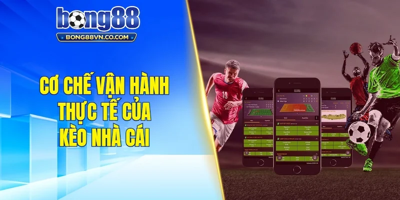 Cơ chế vận hành thực tế của kèo nhà cái